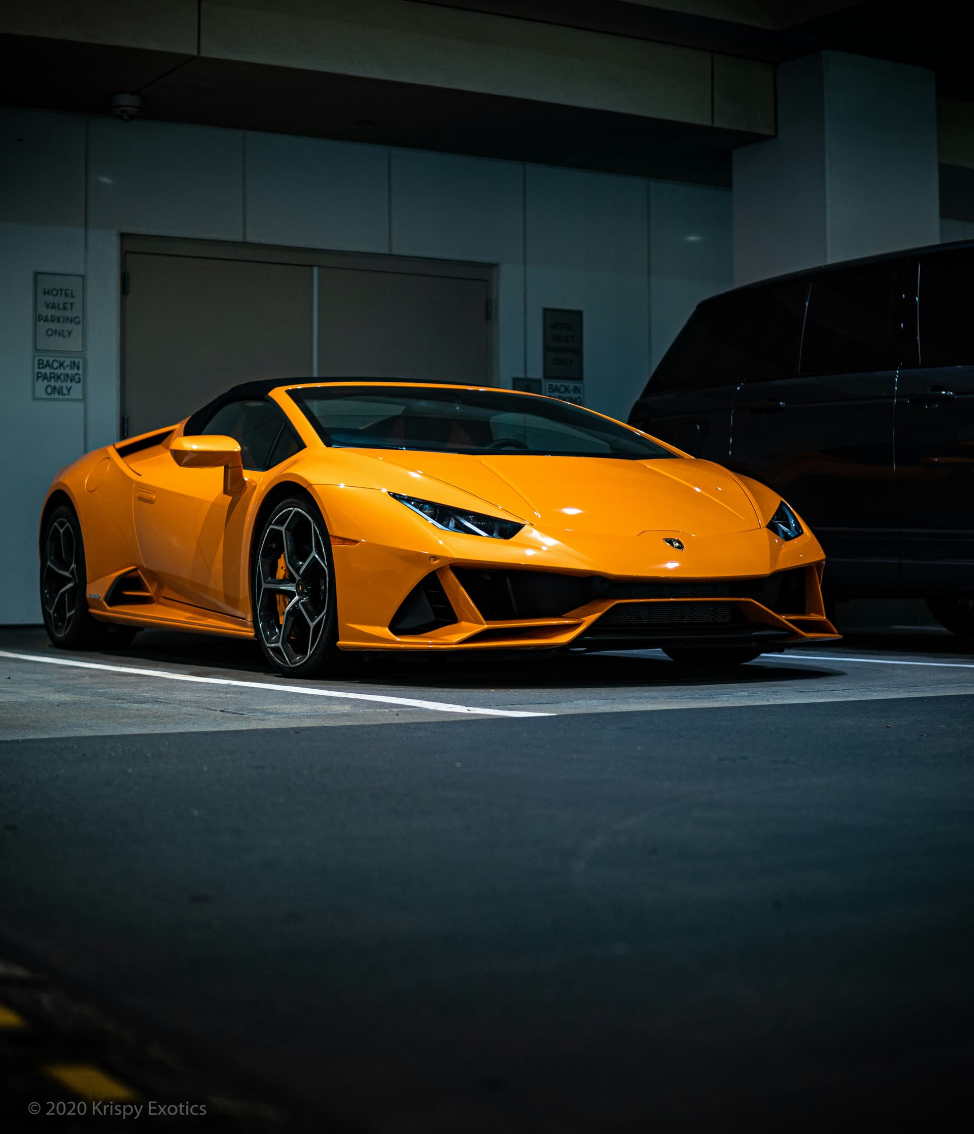 Exotic Car Rental